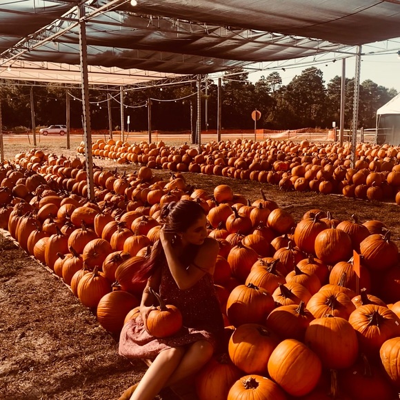 Meet your Posher, Britt - Picture 12 of 14